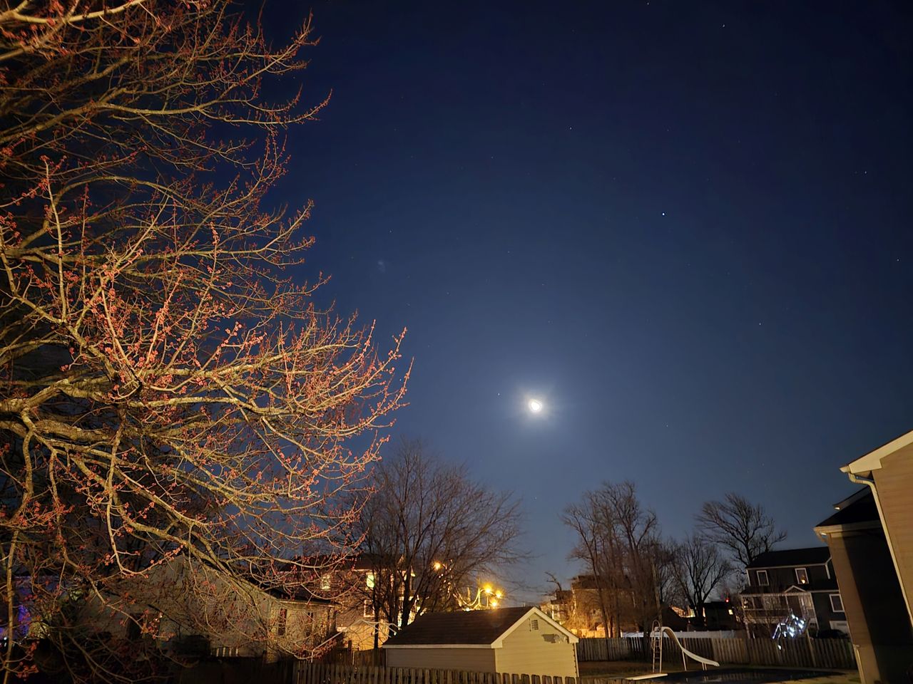 Samsung Galaxy S24 Ultra low light.