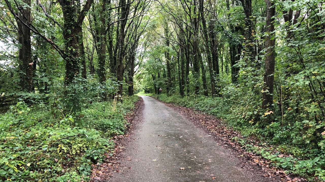 Komoot route Devon