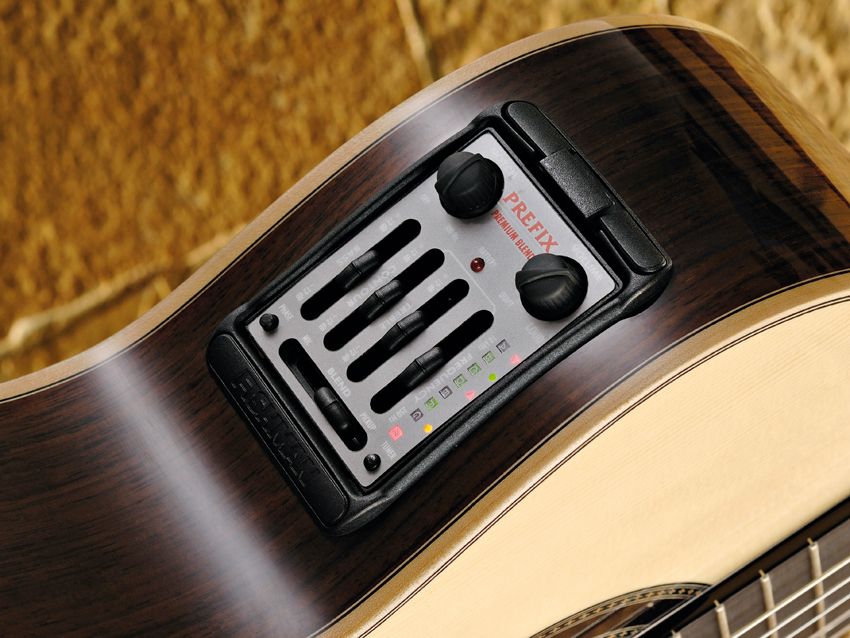 You have a choice of Fishman preamps: ours came with the Prefix Premium Blend