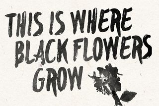 Free font: Blackflower