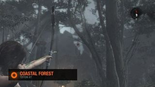 Tomb Raider Coastal Forest Totem #7