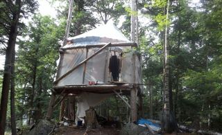 Treehouse 3
