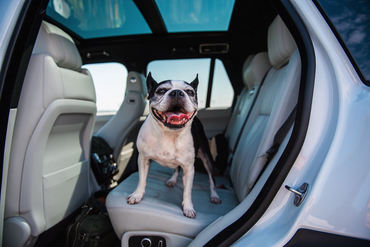 Range Rover HSE TD6 luxury, offroad dominance, and great fuel economy