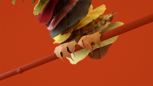 3D bird animation