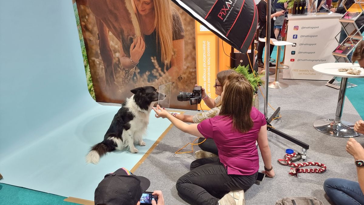 Dogs that stole our hearts at The Photography Show 2022