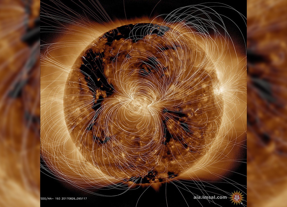 The sun is a ball of invisible, electromagnetic explosions. This stunning ultraviolet image taken by NASA&#039;s Solar Dynamics Observatory models what those swirling electric field lines actually look like.