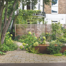 Patio area with hydrangea's shrubs, water feature with house in the background. Karen Howden and Tom Gandey's ground floor flat's garden in North London.