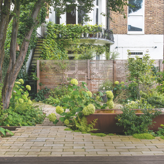 Patio area with hydrangea's shrubs, water feature with house in the background. Karen Howden and Tom Gandey's ground floor flat's garden in North London.