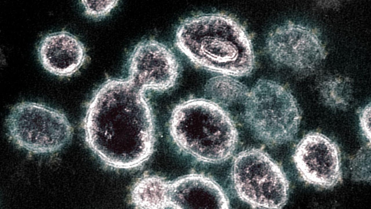 Novel coronavirus