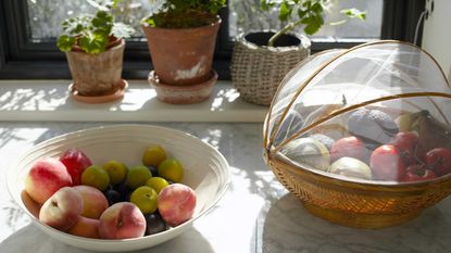 fruit bowls and plants in sunny window