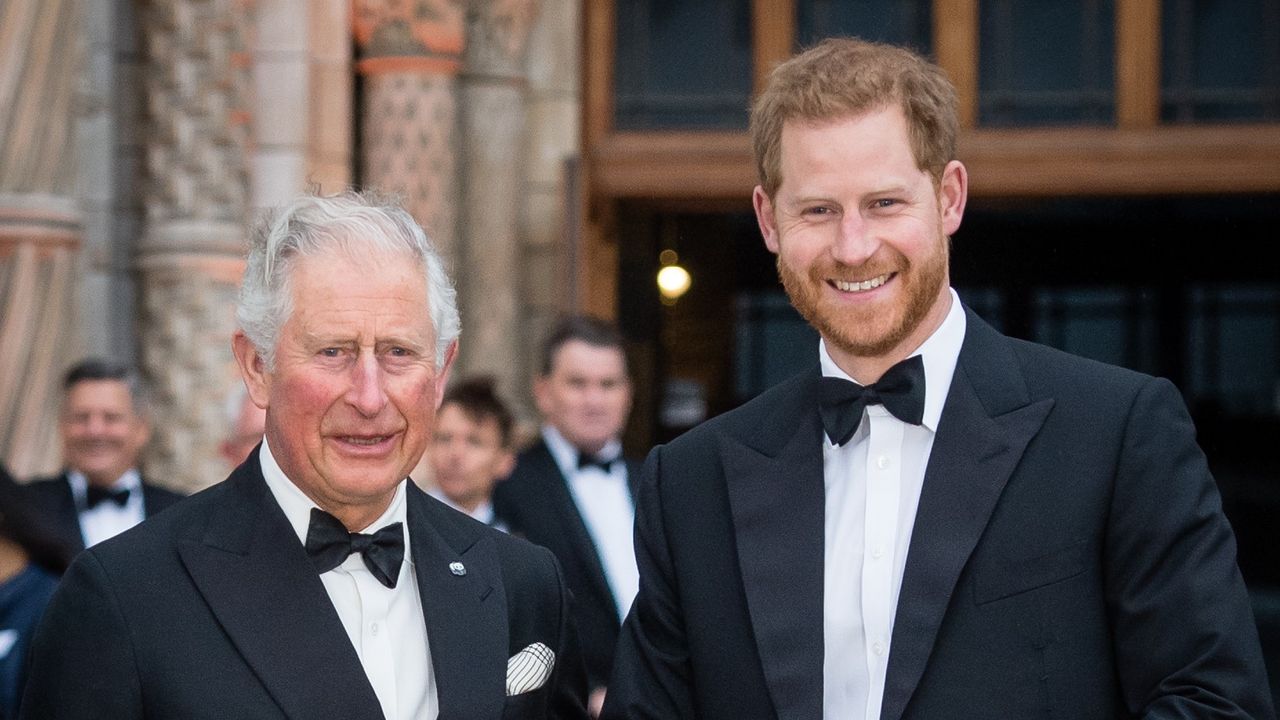 rince Charles, Prince of Wales and Prince Harry, Duke of Sussex attend the &quot;Our Planet&quot; global premiere at Natural History Museum