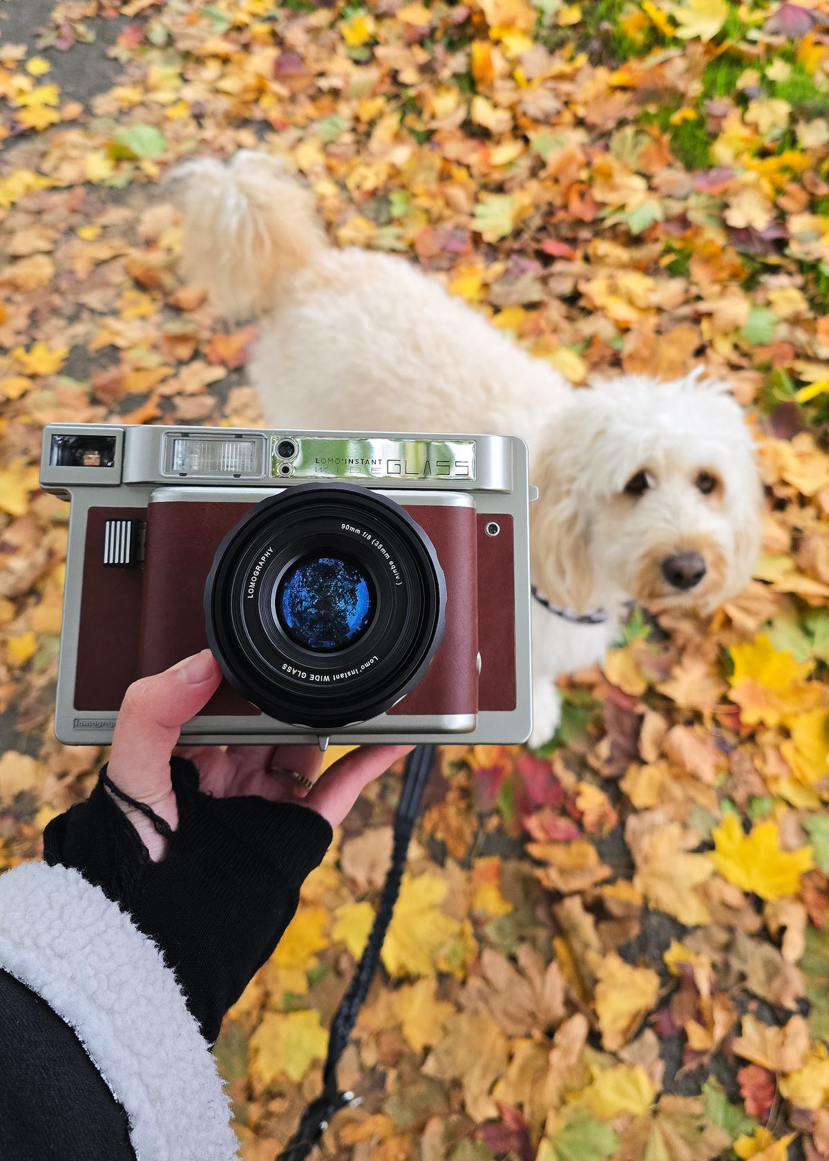 Lomo&rsquo;Instant Wide Glass review