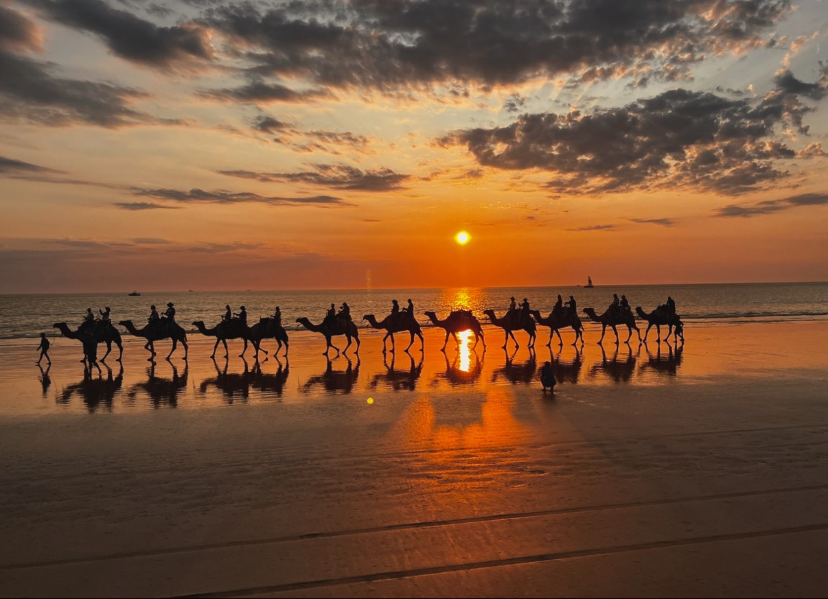 GuruShots - February 2026