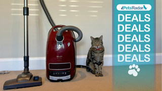 Megan's cat Chilli sitting next to the Miele Complete C3 Cat and Dog Powerline Vacuum, with a PetsRadar deals overlay and pawprint icon to the right hand side