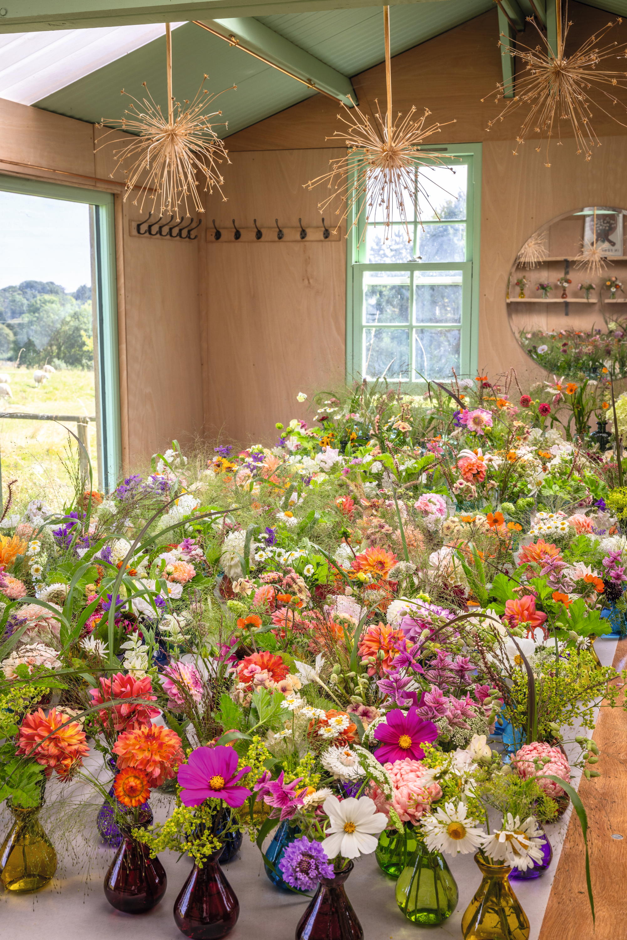 Chippy Flower Farm in Oxfordshire