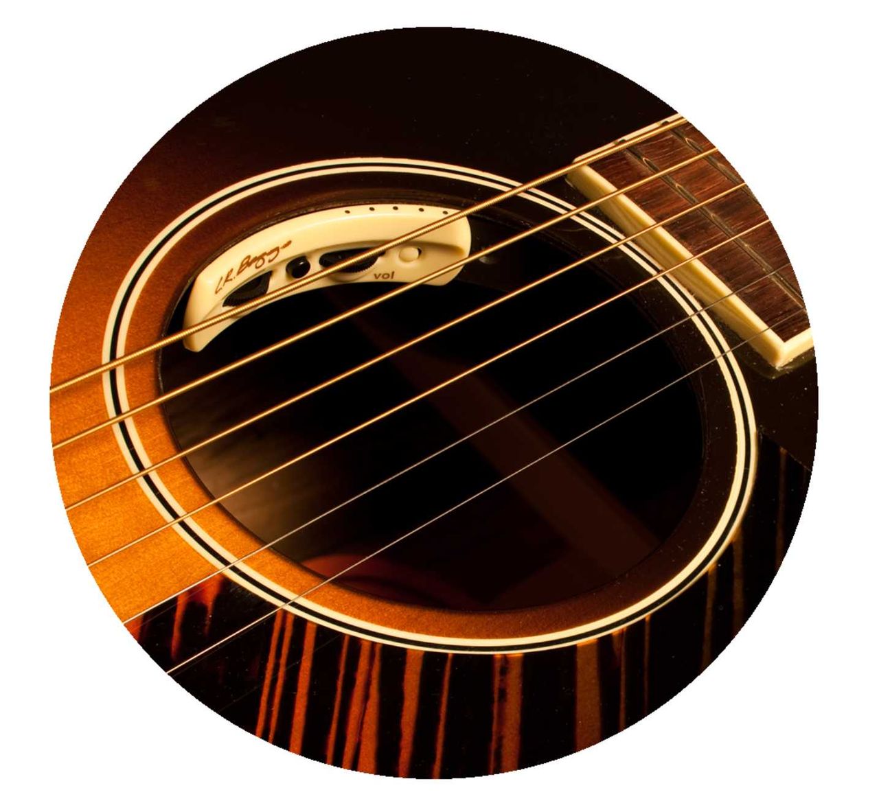 LR Baggs Anthem pick-up soundhole