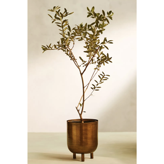 faux olive tree in a pot