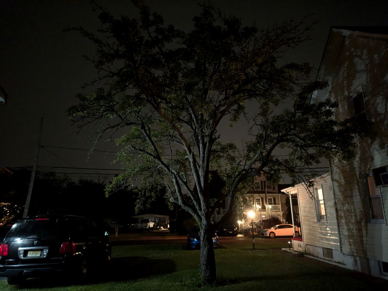 Google Pixel 8a low light sample.
