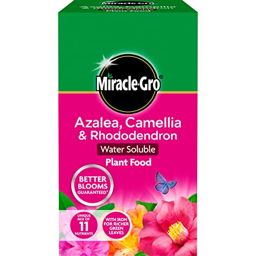 Miracle-Gro Azalea, Camellia & Rhododendron Soluble Plant Food, 1 Kg