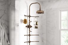 Cathpole & Rye Spine shower in aged brass