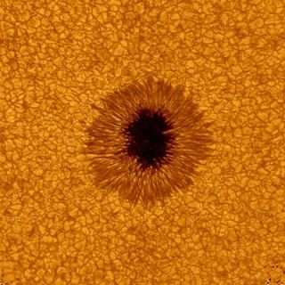 Sunspot Close Up