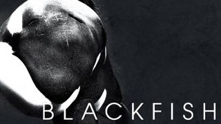 Best movies on Netflix