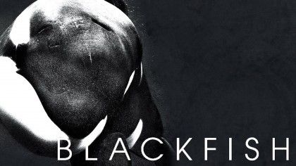 Blackfish