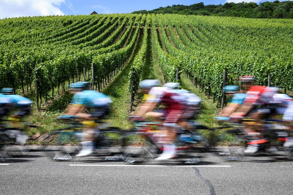 The riders pass by some vines