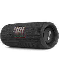 JBL Flip 6