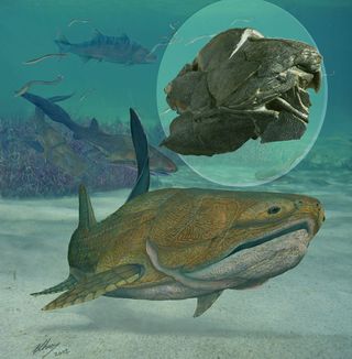 In the Silurian seas of present-day China, an armoured fish flashes its remarkable jaws.