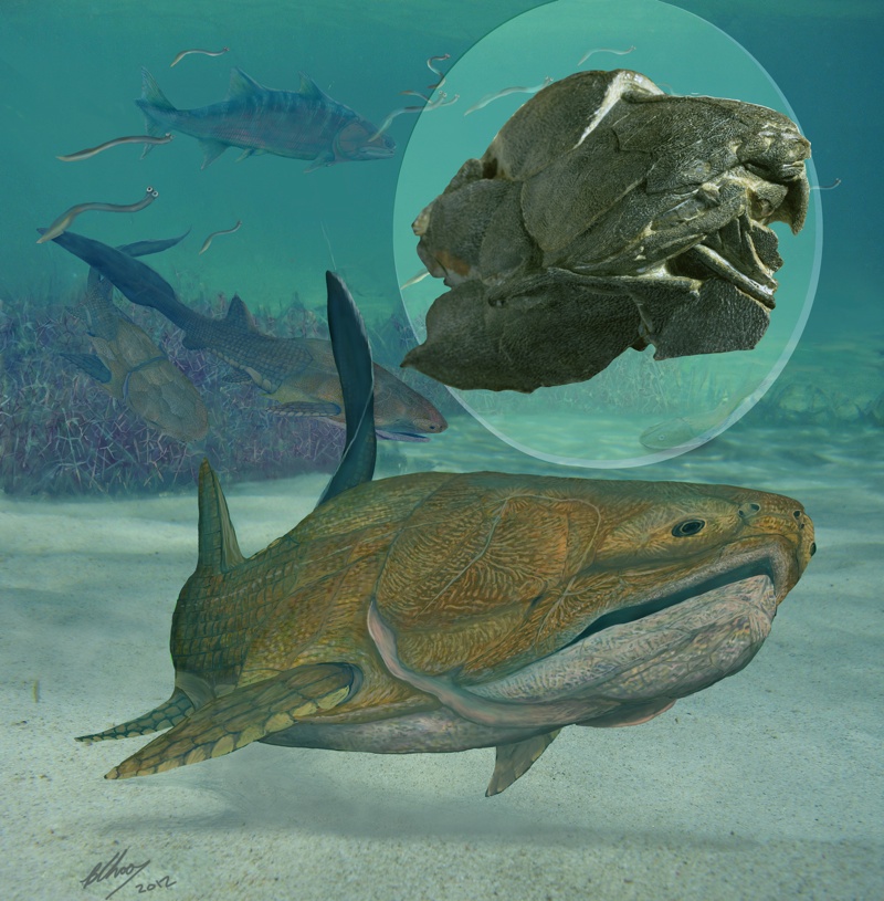 In the Silurian seas of present-day China, an armoured fish flashes its remarkable jaws.