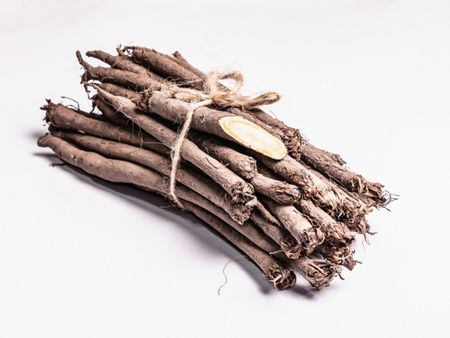 Salsify Plant Roots