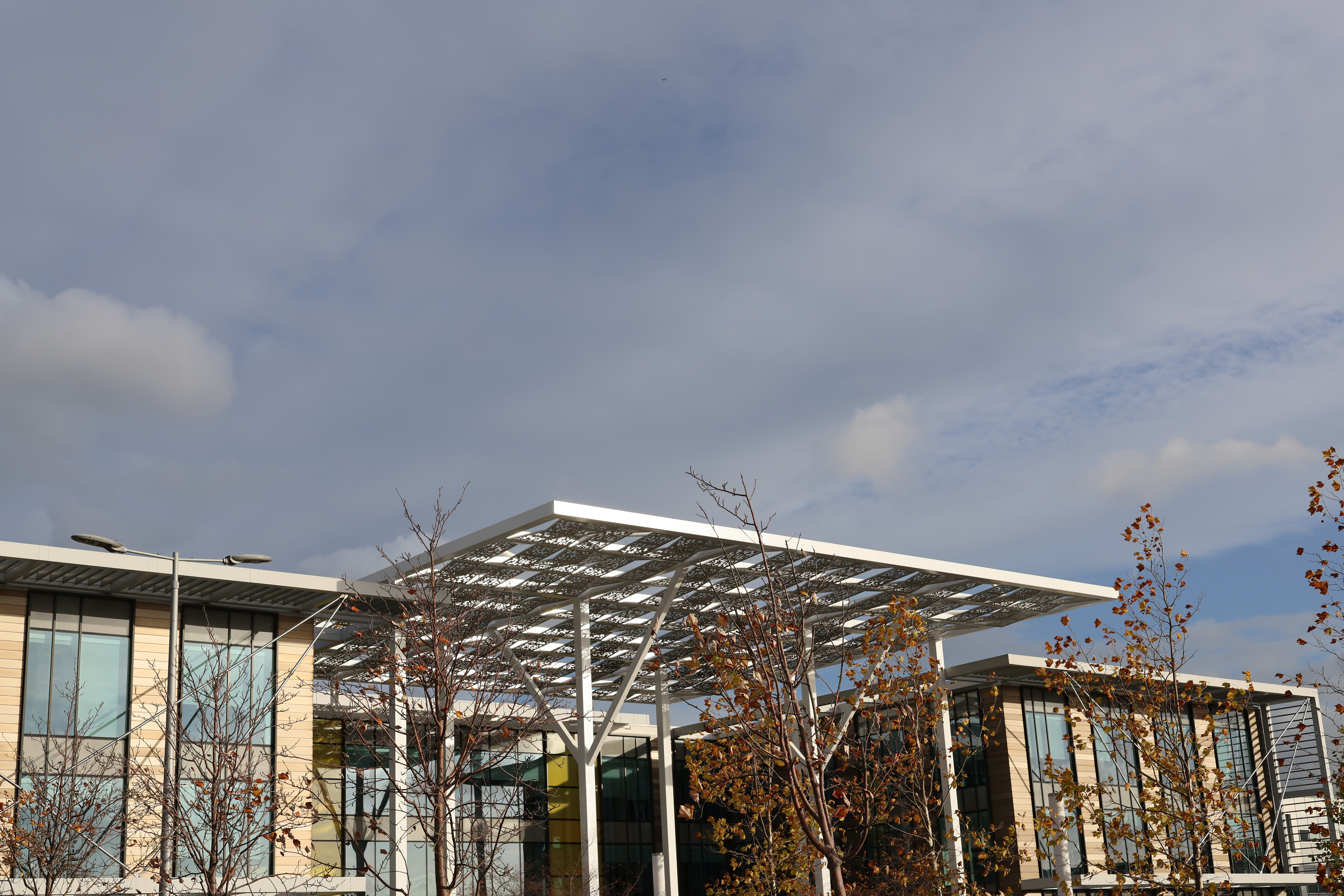 Sample image taken on the Canon RF 45mm f/1.2 STM