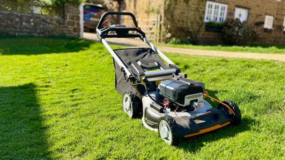 Worx Nitro 80V WG761E