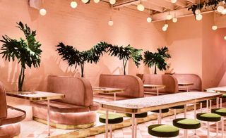 Pink sofa, green velvet stool and philodendron leaves in vases on the tables at bar.