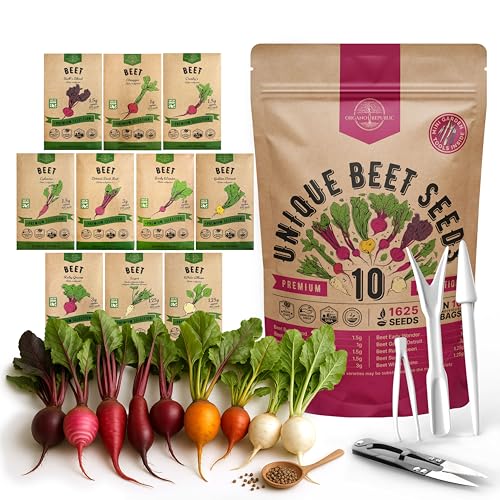 Organo Republic 10 Rare Beet Seeds Variety Pack for Planting Indoor &amp;amp; Outdoors 1625+ Heirloom Non-Gmo Bulk Beets Gardening Seeds: Chioggia, Detroit Dark Red, Sugar, Cylindra, Bulls Blood, White Albino