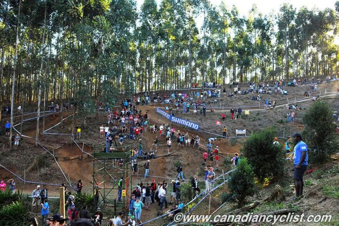 Fans collect in Sharka's Playground