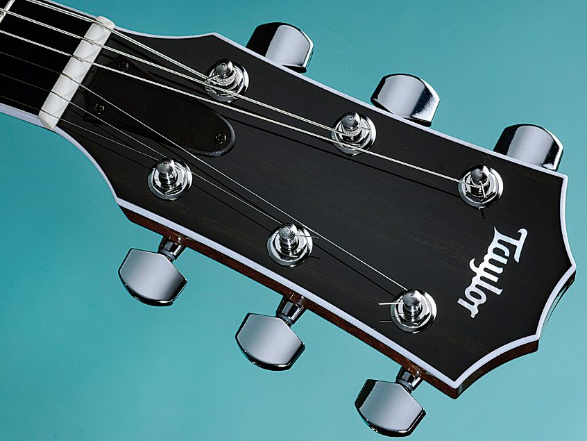 The peghead mirrors Taylor acoustics