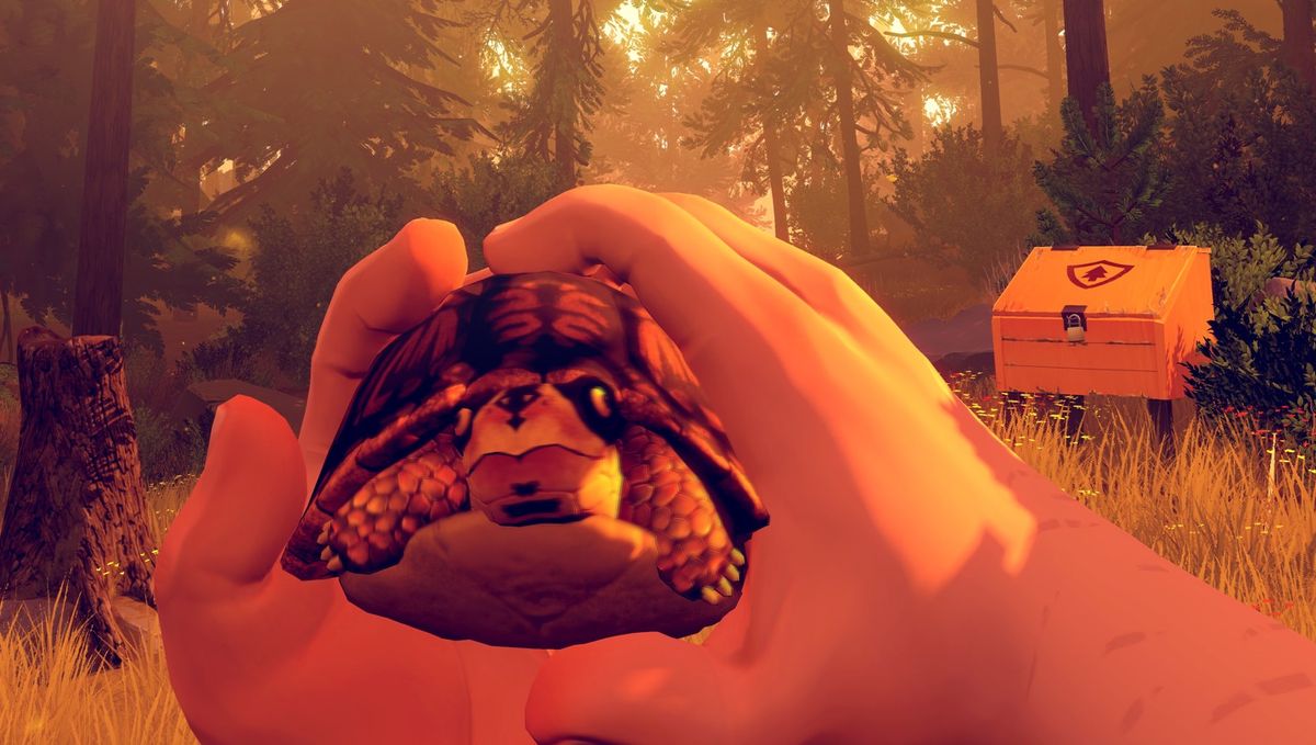 Firewatch turtle.