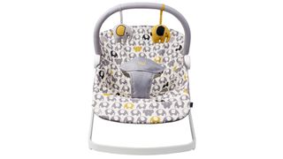 BabaBing Float Baby Bouncer