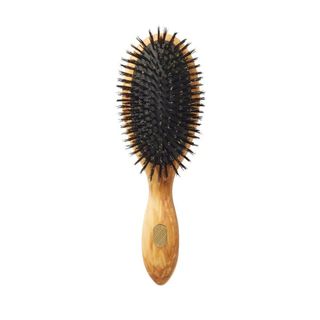 Altesse Studio Beaute Repair & Shine Hairbrush