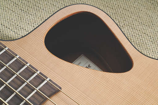 The unique positioning of the soundhole greatly reduces feedback.