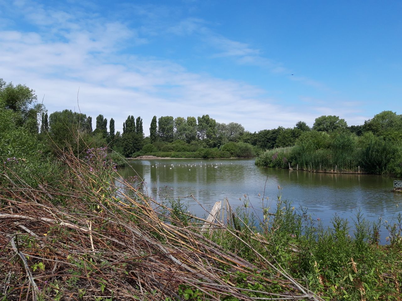 Avoid challenging the camera with too great a variance in light levels and you can capture some nice landscapes.
