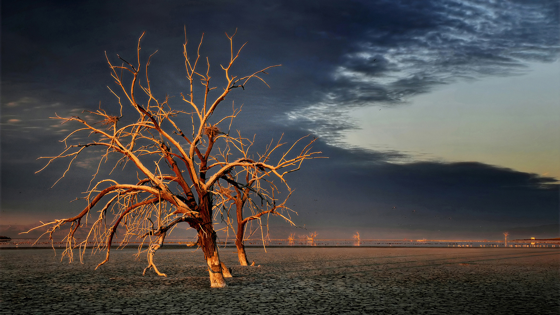 USA Landscape Photographer of the Year