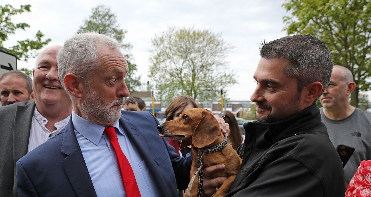 Jeremy Corbyn is startled by Cody the Dachshund during a 2017 campaign event