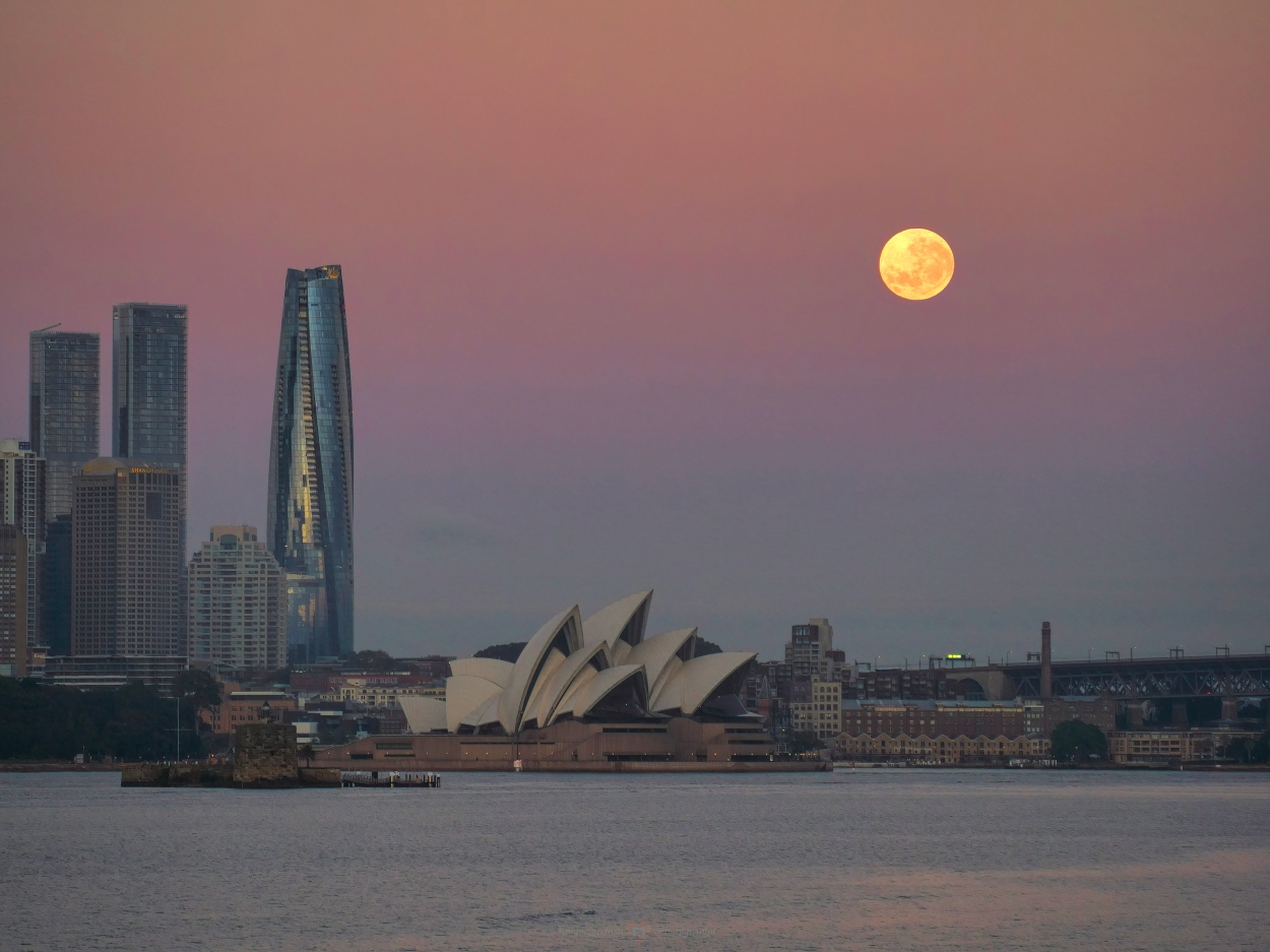 Zakurzone różowe niebo z żółtym zabarwieniem księżyca w pełni w prawym górnym rogu zdjęcia, a poniżej panorama Sydney, w tym Opera w Sydney.