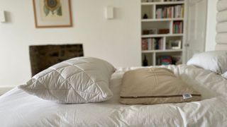 Putnams Organic Buckwhat Hull Pillow compared to wool pillow