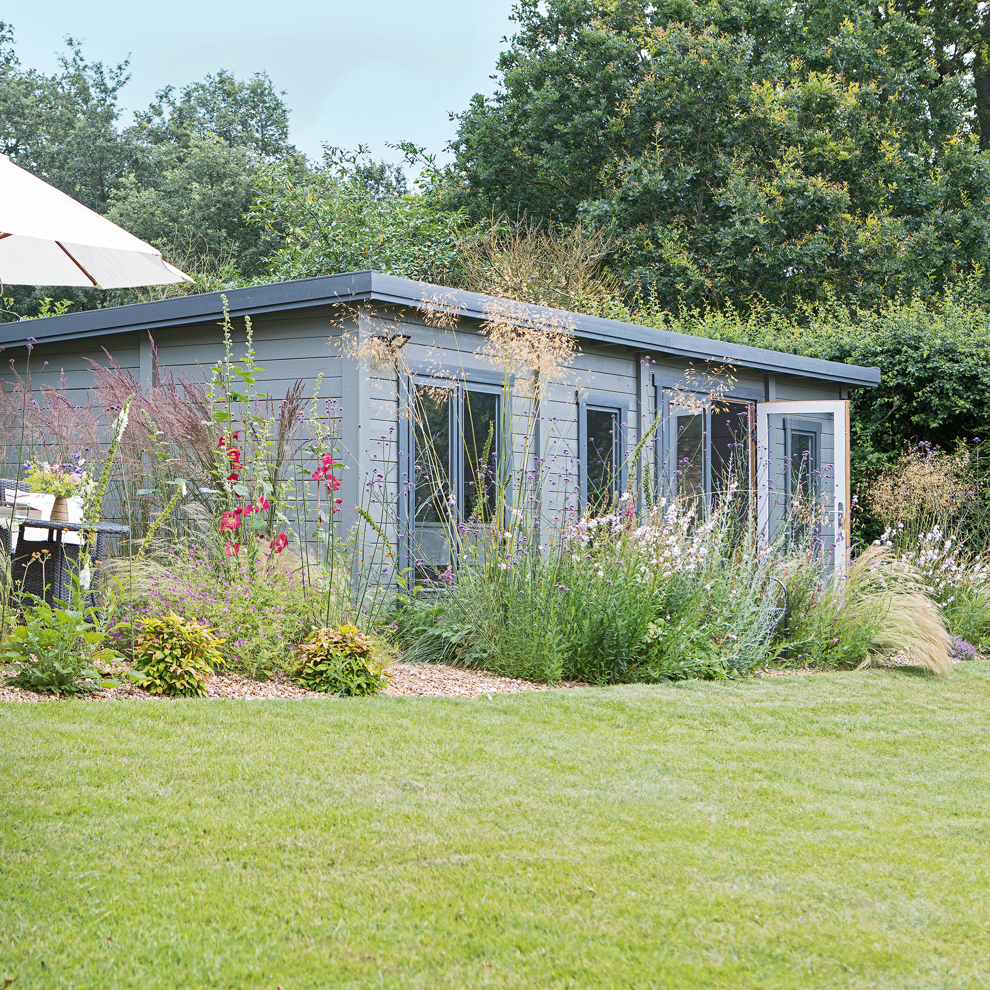 Blue shed with neat lawn and tall plants