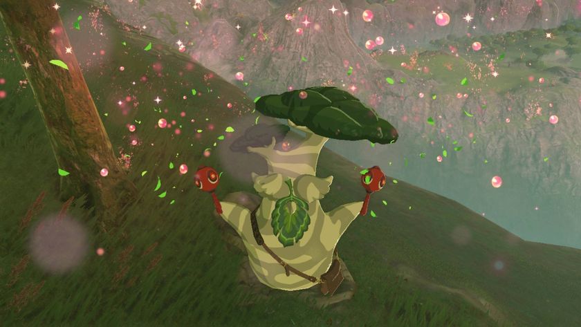 A screenshot of Hestu in The Legend of Zelda: Breath of the Wild.
