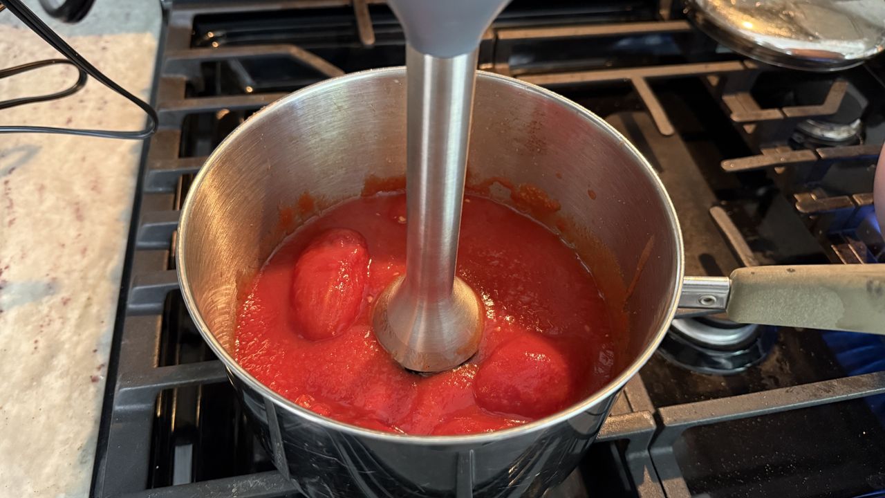 Ninja Power Duo Immersion Blender with Whisk